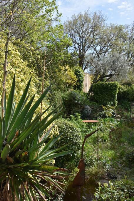 La Petite Maison Des Artistes Séguret Exteriör bild