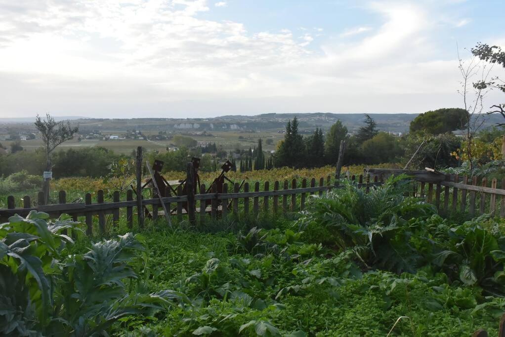 La Petite Maison Des Artistes Séguret Exteriör bild