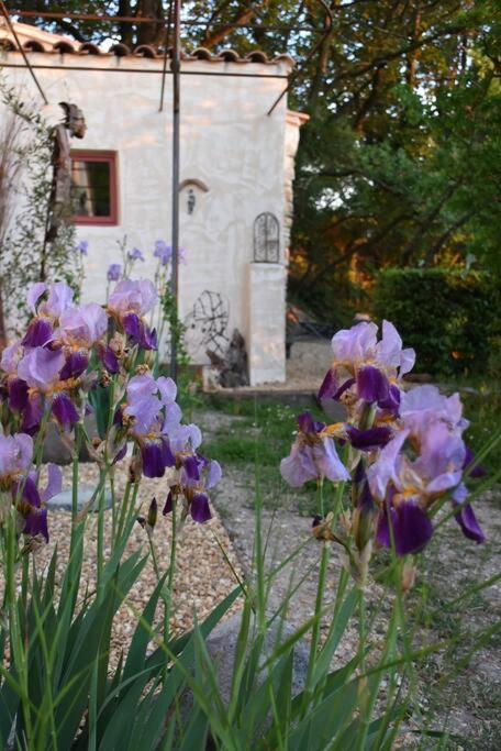 La Petite Maison Des Artistes Séguret Exteriör bild