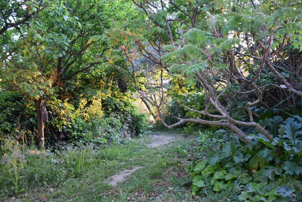 La Petite Maison Des Artistes Séguret Exteriör bild