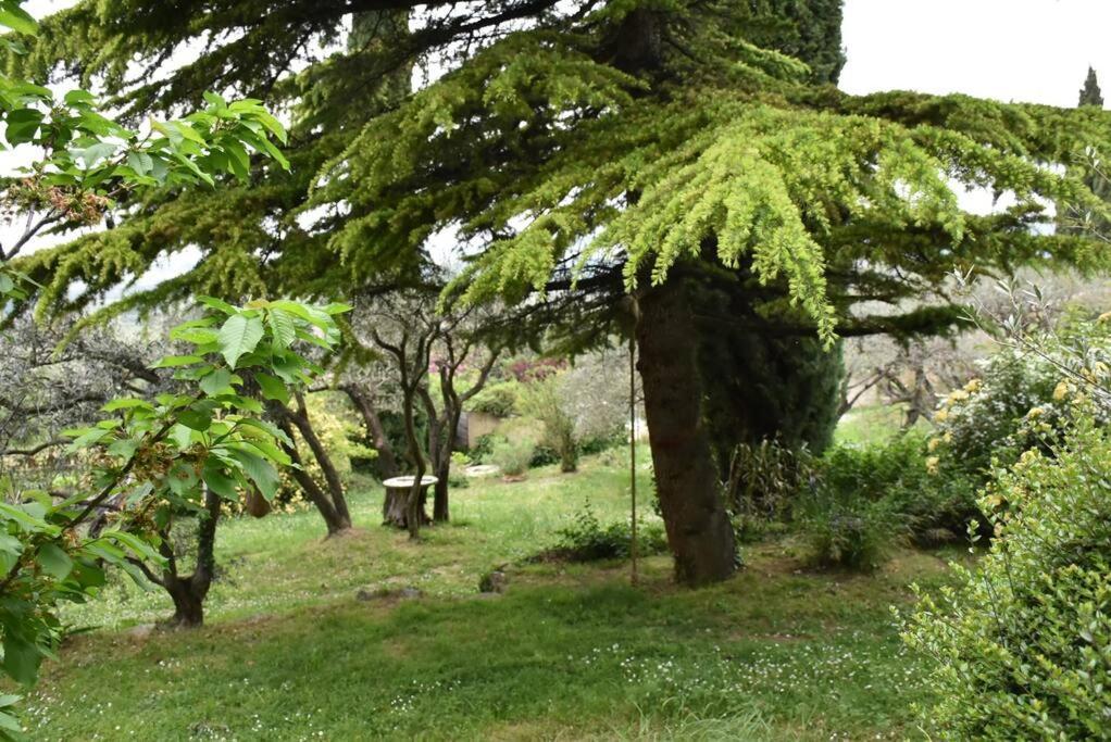 La Petite Maison Des Artistes Séguret Exteriör bild